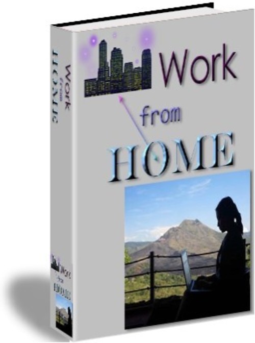 Product picture You Can Do It and Love It!! Work from Home